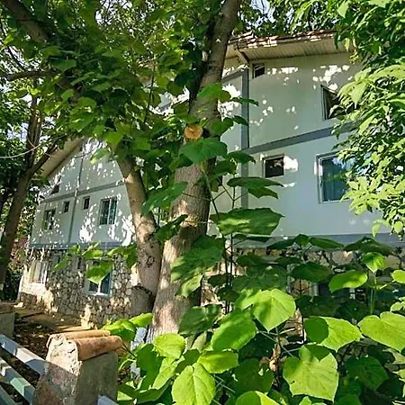 Bam Hotel