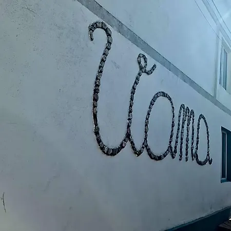 Bam Vama Veche